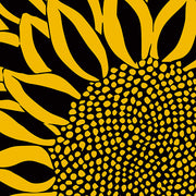 Funflower