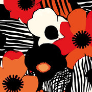 Zebra Blossom