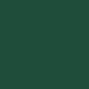 Dark Green Monochrome (matches Wild Tribe)