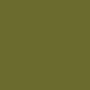 Olive Monochrome