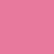 Pink Monochrome (matches Brush Jungle)