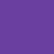 Purple Monochrome (matches Fairy Forest)