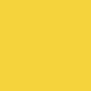 Yellow Monochrome